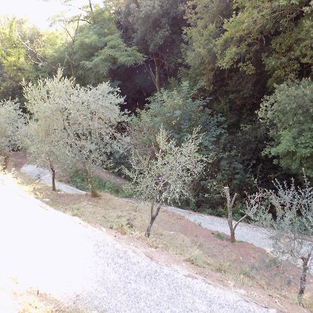 Fattoria Ceragioli Villa Camaiore Eksteriør billede