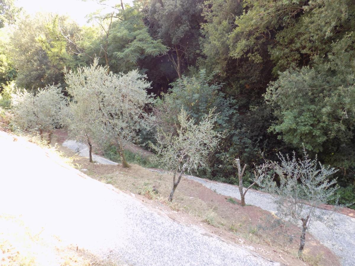 Fattoria Ceragioli Villa Camaiore Eksteriør billede