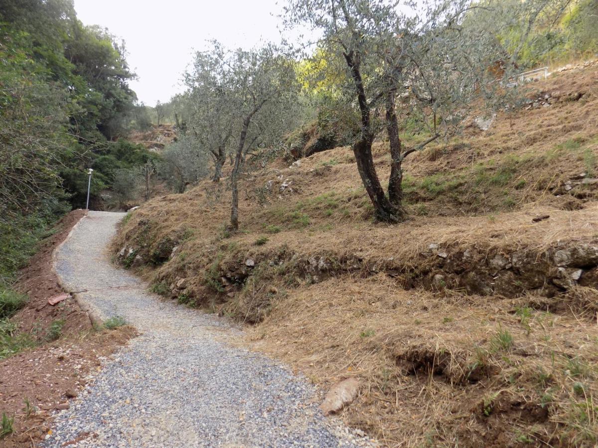 Fattoria Ceragioli Villa Camaiore Eksteriør billede