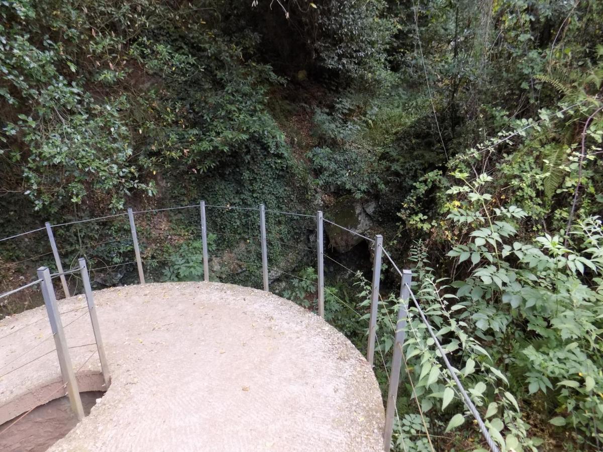Fattoria Ceragioli Villa Camaiore Eksteriør billede