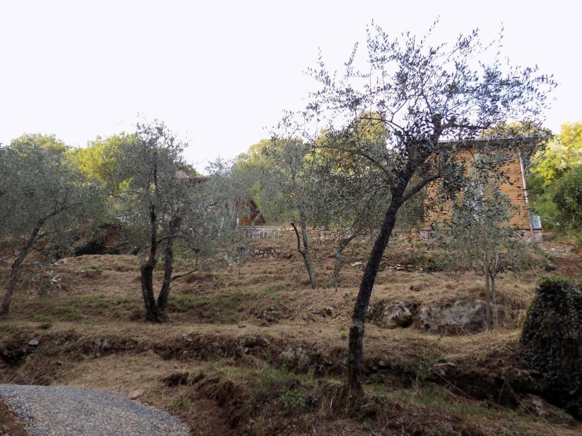 Fattoria Ceragioli Villa Camaiore Eksteriør billede