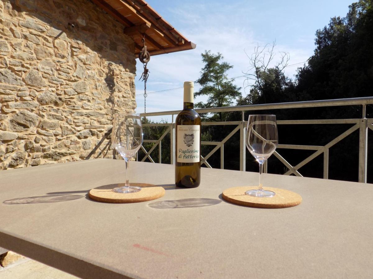 Fattoria Ceragioli Villa Camaiore Eksteriør billede