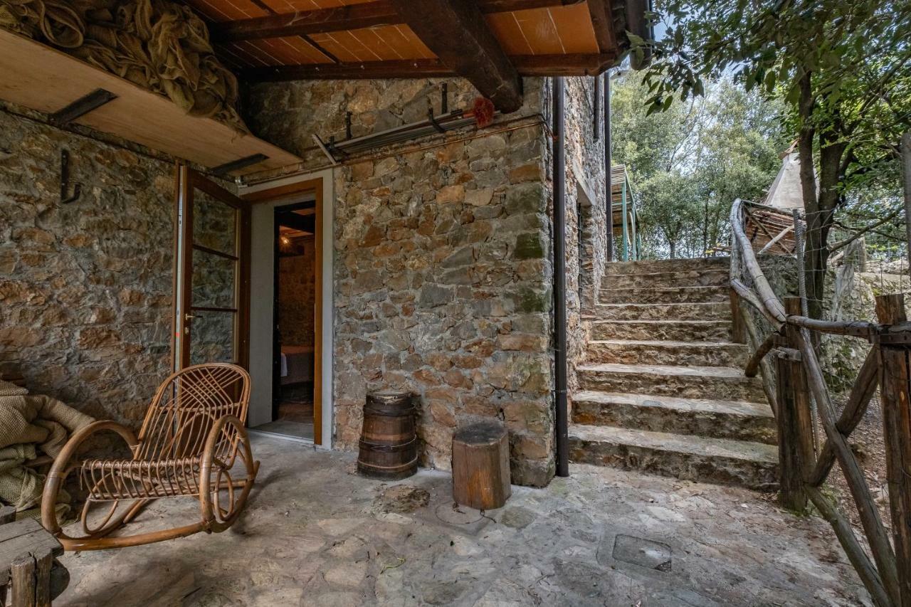 Fattoria Ceragioli Villa Camaiore Eksteriør billede