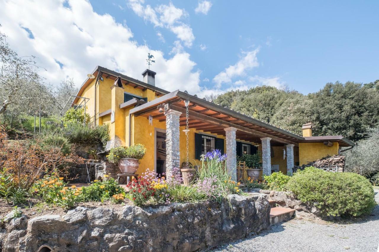 Fattoria Ceragioli Villa Camaiore Eksteriør billede