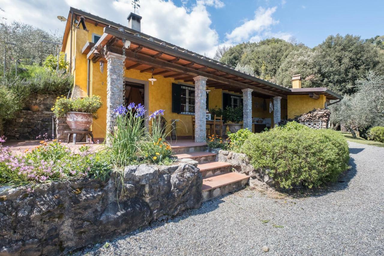 Fattoria Ceragioli Villa Camaiore Eksteriør billede